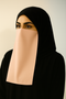 Georgette Muted Brown
